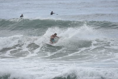 DSC_1972.JPG