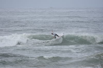 DSC_1998.JPG