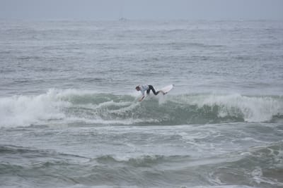 DSC_1999.JPG