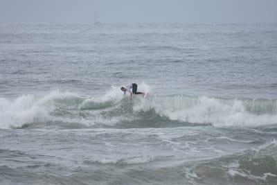 DSC_2000.JPG
