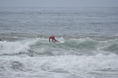 DSC_2010.JPG