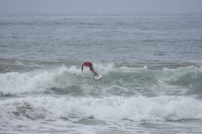 DSC_2011.JPG