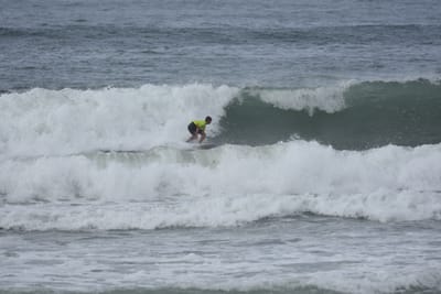DSC_2023.JPG