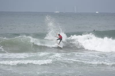 DSC_2175.JPG