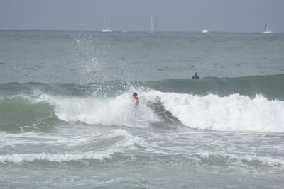 DSC_2177.JPG