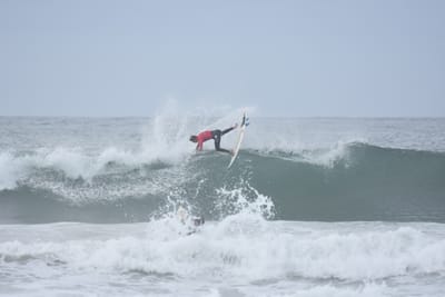 DSC_2220.JPG