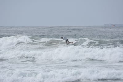 DSC_2228.JPG