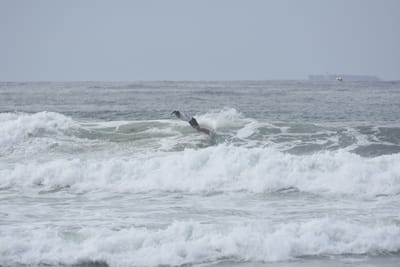 DSC_2229.JPG