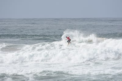 DSC_2262.JPG