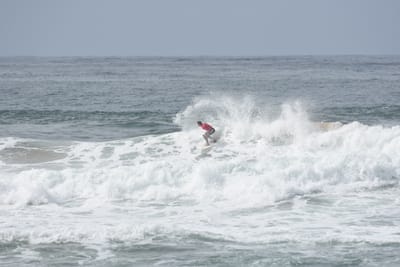 DSC_2263.JPG