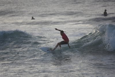 DSC_0981.JPG