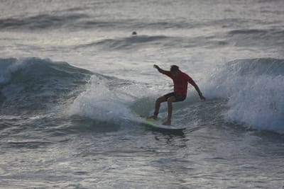 DSC_0984.JPG