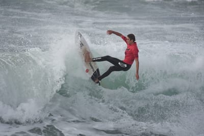 DSC_1355.JPG