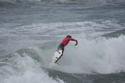 DSC_1406.JPG