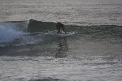 DSC_0856.JPG