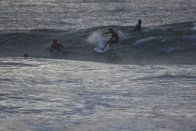 DSC_0888.JPG