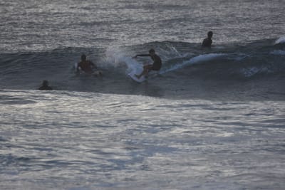 DSC_0889.JPG