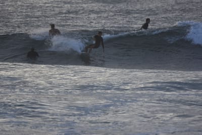 DSC_0891.JPG