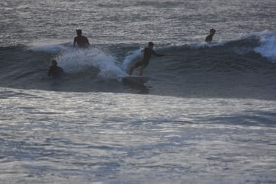 DSC_0892.JPG