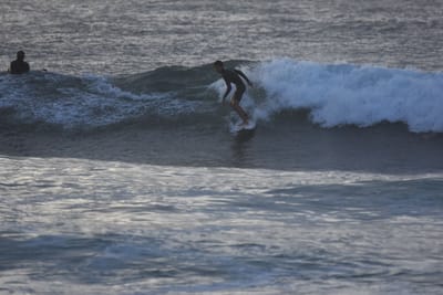 DSC_0893.JPG