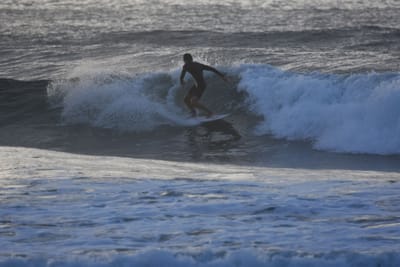 DSC_0900.JPG