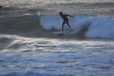 DSC_0901.JPG