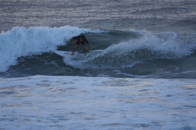 DSC_0919.JPG