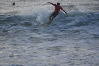 DSC_0977.JPG