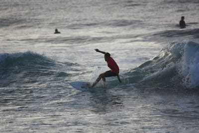 DSC_0981.JPG