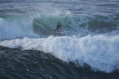 DSC_1029.JPG