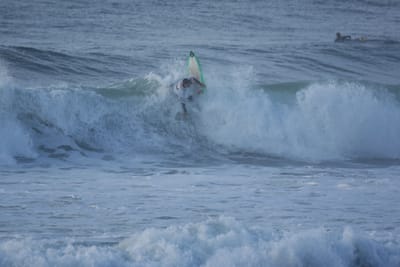 DSC_1033.JPG