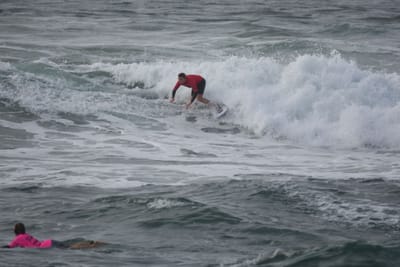 DSC_1071.JPG