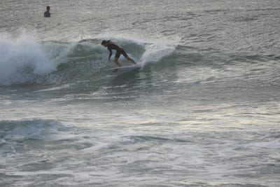 DSC_1105.JPG