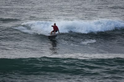 DSC_1113.JPG