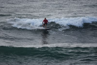 DSC_1115.JPG