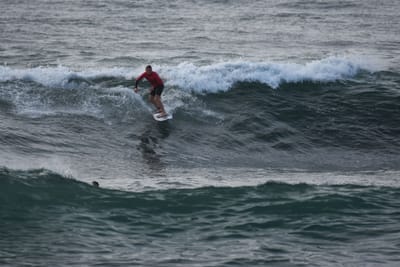 DSC_1117.JPG