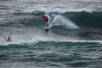 DSC_1119.JPG