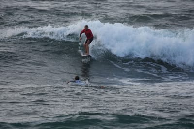 DSC_1130.JPG
