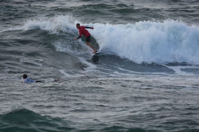 DSC_1131.JPG