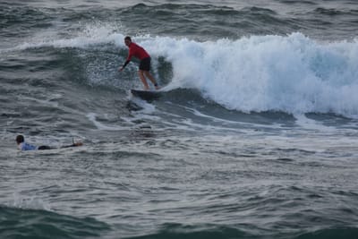 DSC_1132.JPG