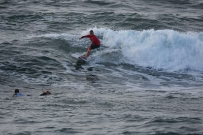 DSC_1134.JPG