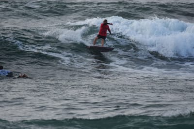 DSC_1135.JPG