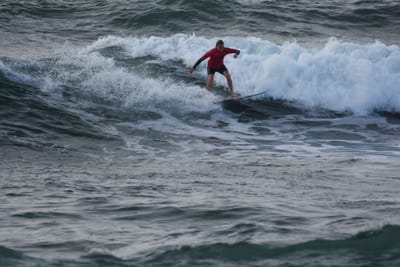 DSC_1137.JPG