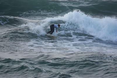 DSC_1151.JPG