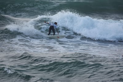 DSC_1152.JPG