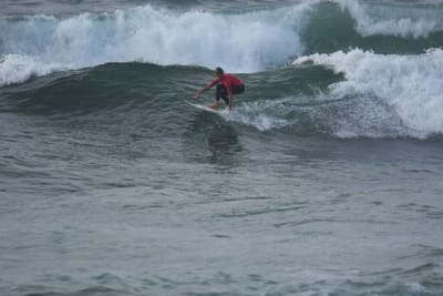 DSC_1175.JPG