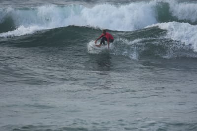DSC_1176.JPG