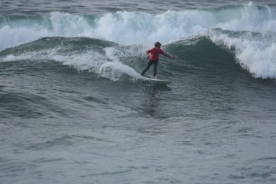 DSC_1181.JPG