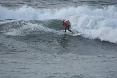 DSC_1182.JPG