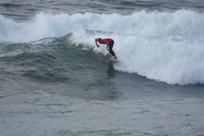 DSC_1183.JPG
